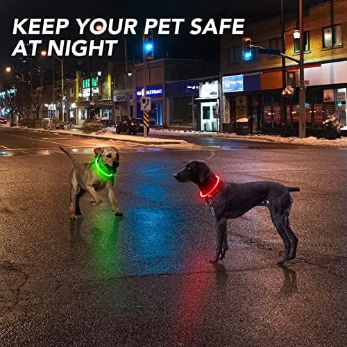2 pakiranja LED pseća ovratnika, USB punjivi zaslon za pasnu ogrlicama, sjajni osnovni ogrlice za pse za noćnu šetnju, vodootporni